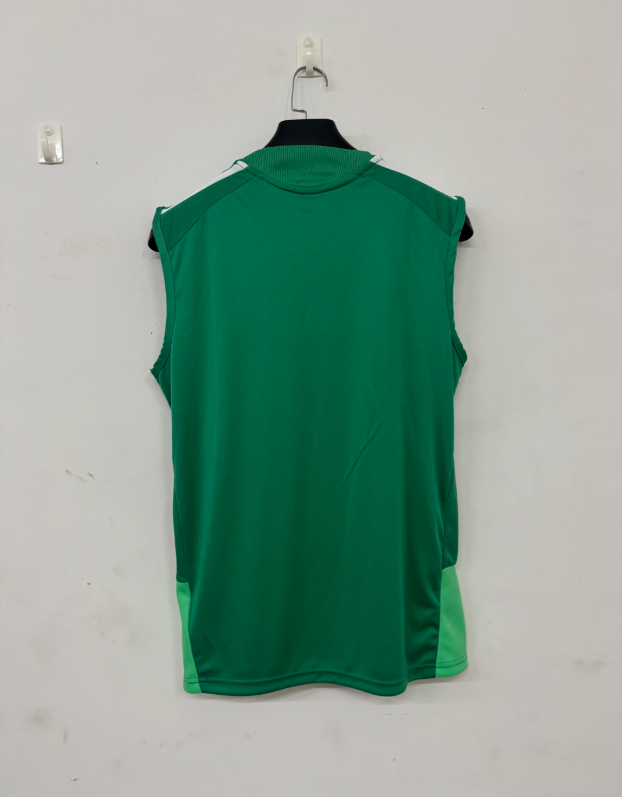 2026 2027  Celtic  adult  tracksuit  training suit  Vest no sleeves set