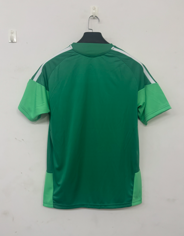 2026 2027  Celtic  adult  tracksuit  training suit  short  sleeves