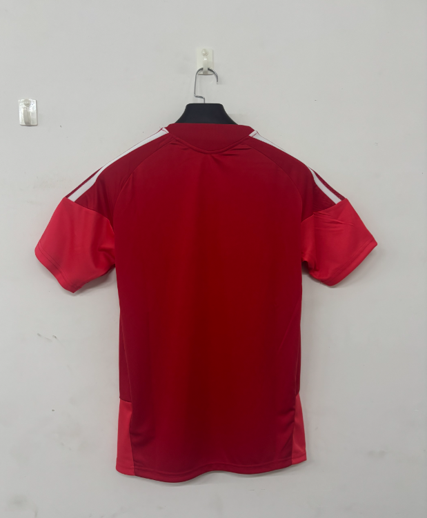 2026 2027  Benfica   adult  tracksuit  training suit  short  sleeves