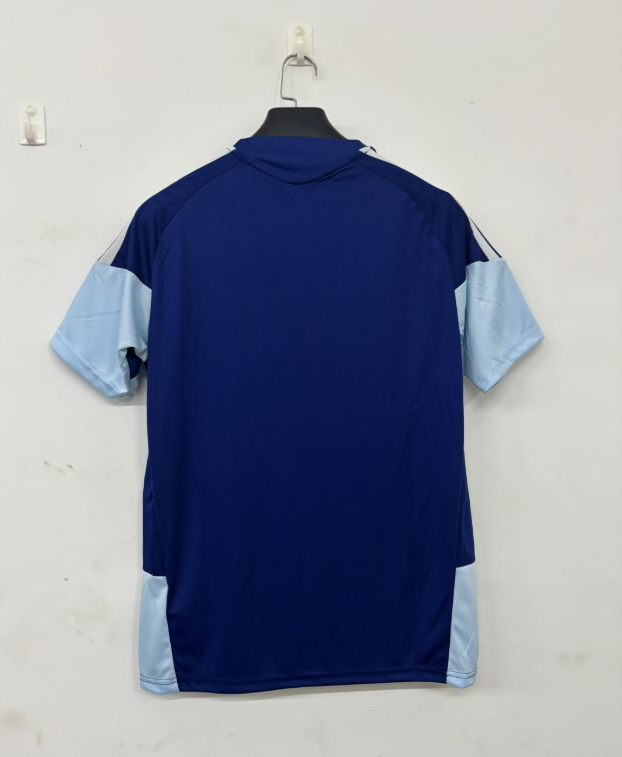 2026 2027  Ajax    adult  tracksuit  training suit  short  sleeves