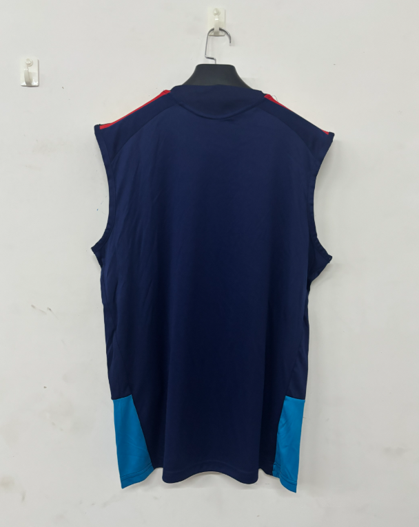 2026 2027 Two Stars  Spain adult  tracksuit  training suit  Vest no sleeves set
