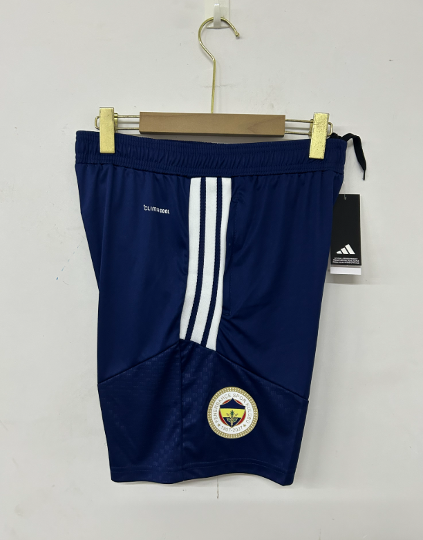2026 2027 Fenerbahçe SK  adult  tracksuit  training suit  Vest no sleeves set