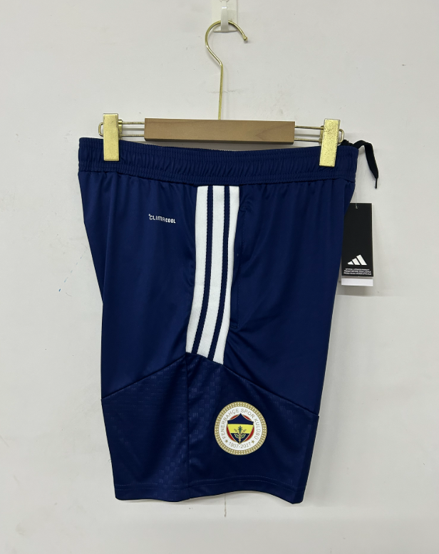 2026 2027  Fenerbahçe SK adult  tracksuit  training suit  POLO half zipper short sleeves