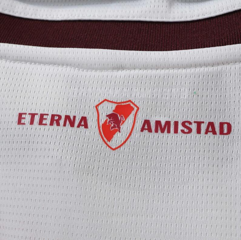 2026 2027 Torino F.C. away Fan version