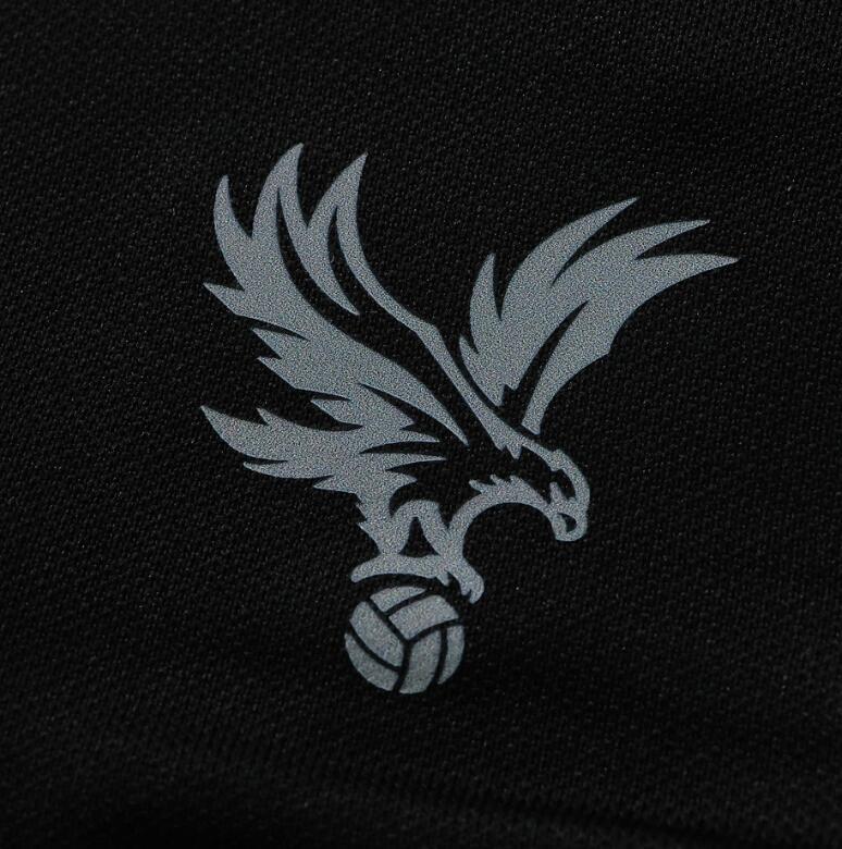 2026 2027   Crystal Palace F.C. away Fan version