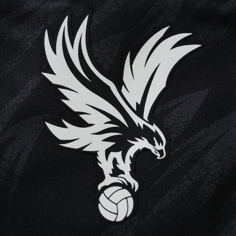 2026 2027   Crystal Palace F.C. away Fan version