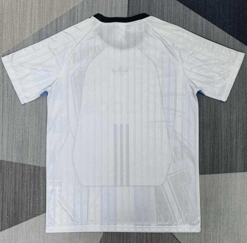 2026 2027 Argentina   soccer Jersey  fan version