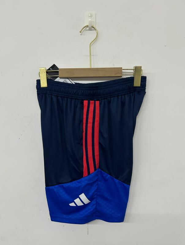 2026 2027  Lyon  adult  tracksuit  training suit  short  sleeves