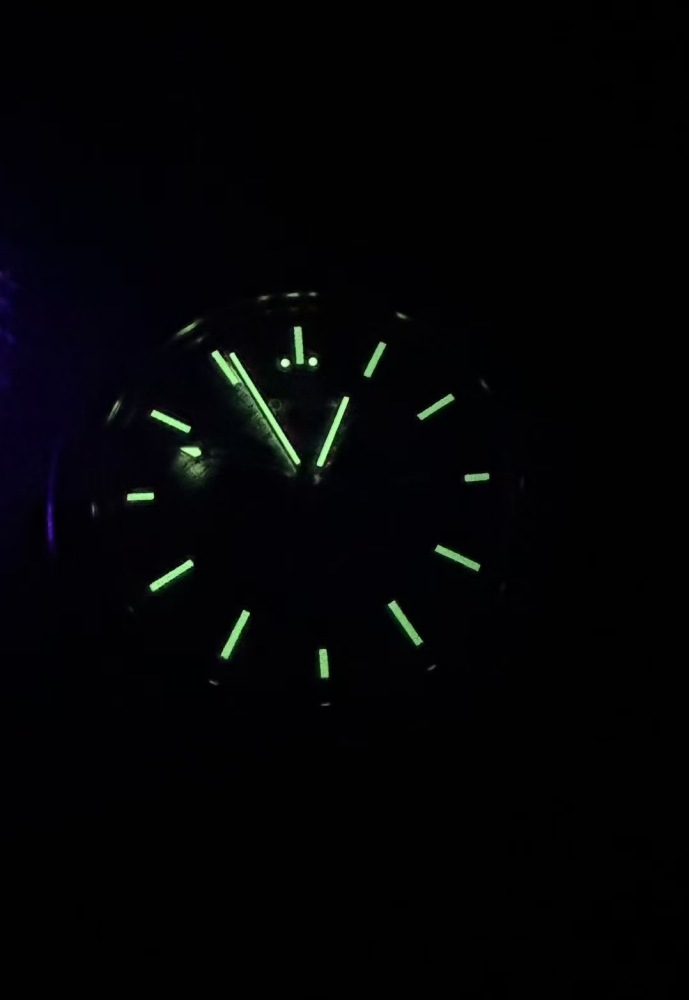 Men's Automatic Mechanical Watch 904L Stainless Steel 44mm-OG281