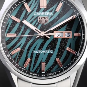 Men's Automatic Mechanical Watch 904L Stainless Steel 42mm-TAG303