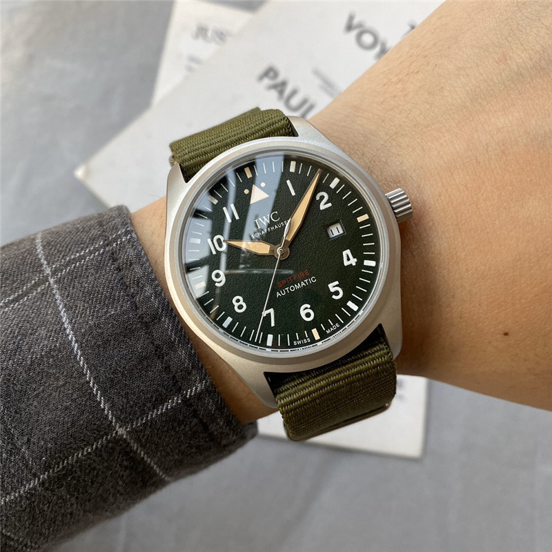 Men's Automatic Mechanical Watch 904L Stainless Steel 42mm-IC4