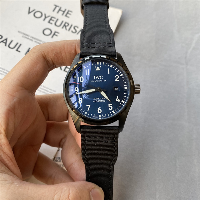 Men's Automatic Mechanical Watch 904L Stainless Steel 42mm-IC4