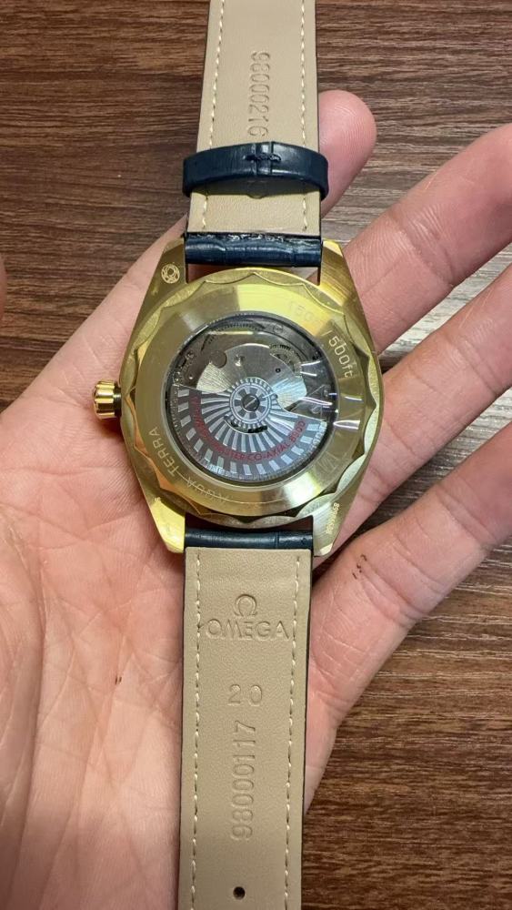 Men's Automatic Mechanical Watch 904L Stainless Steel 40 mm-OG 293