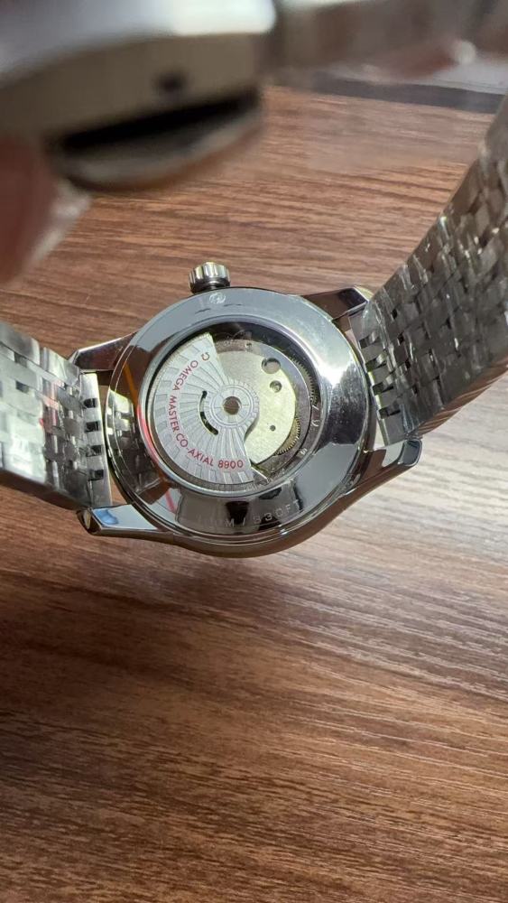 Men's Automatic Mechanical Watch 904L Stainless Steel 41 mm-OG 299