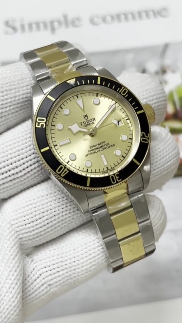 Men's Automatic Mechanical Watch 904L Stainless Steel 41 mm- TR 45