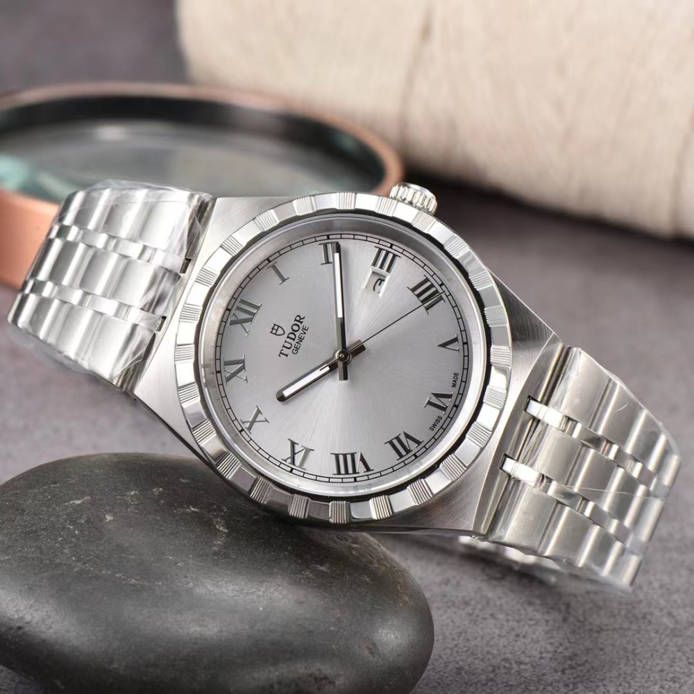 Men's Automatic Mechanical Watch 904L Stainless Steel 41 mm- TR 17