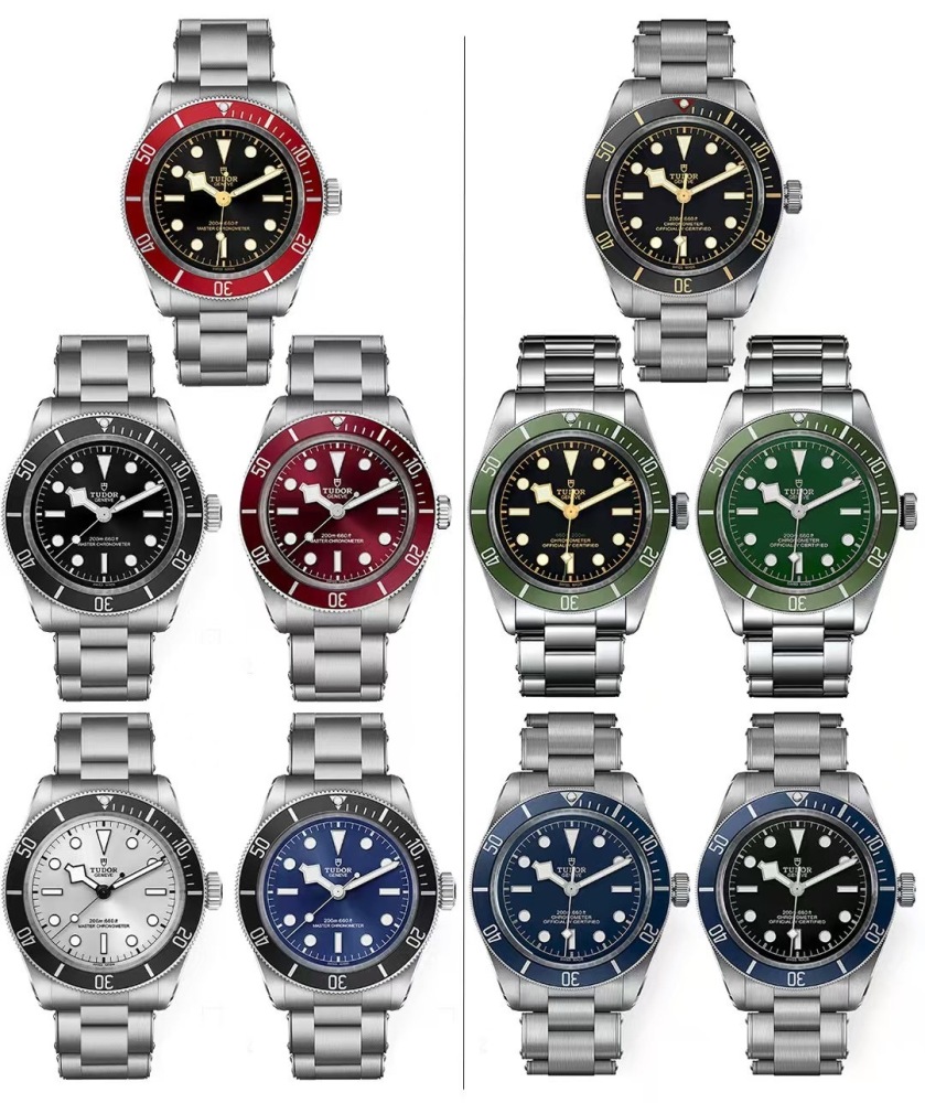 Men's Automatic Mechanical Watch 904L Stainless Steel 41 mm- TR 45