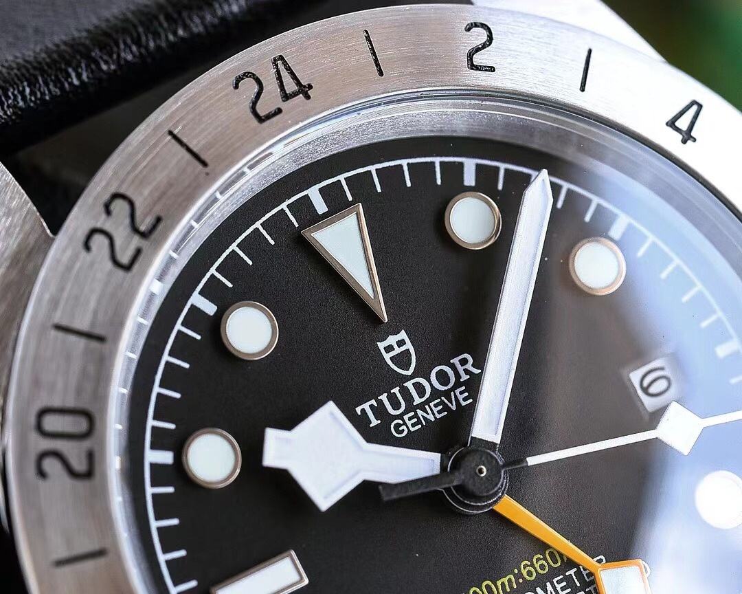 Men's Automatic Mechanical Watch 904L Stainless Steel 42 mm- TR 22