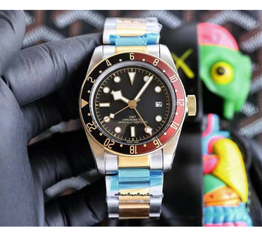 Men's Automatic Mechanical Watch 904L Stainless Steel 42 mm- TR 25