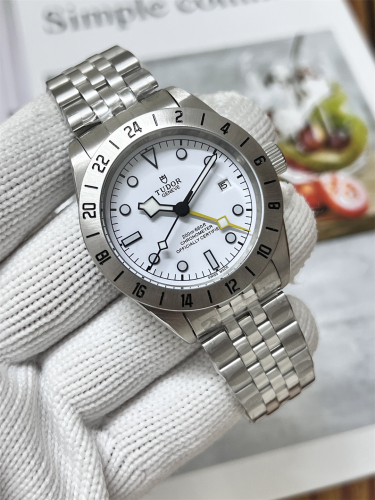 Men's Automatic Mechanical Watch 904L Stainless Steel 41 mm- TR 43