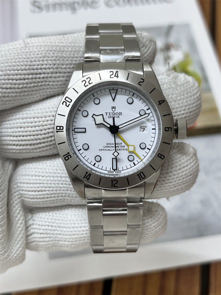 Men's Automatic Mechanical Watch 904L Stainless Steel 41 mm- TR 43