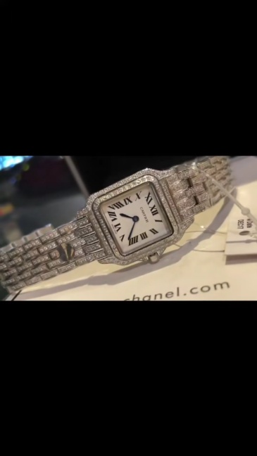 Women's  Quartz Watch Chronograph 904L Stainless Steel 22mm 27mm,- CT 24