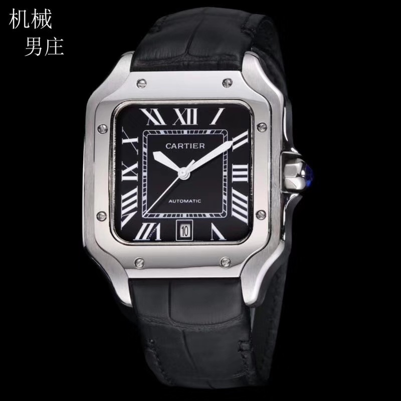 Men's Automatic Mechanical Watch 904L Stainless Steel 39 mm  - CT 17