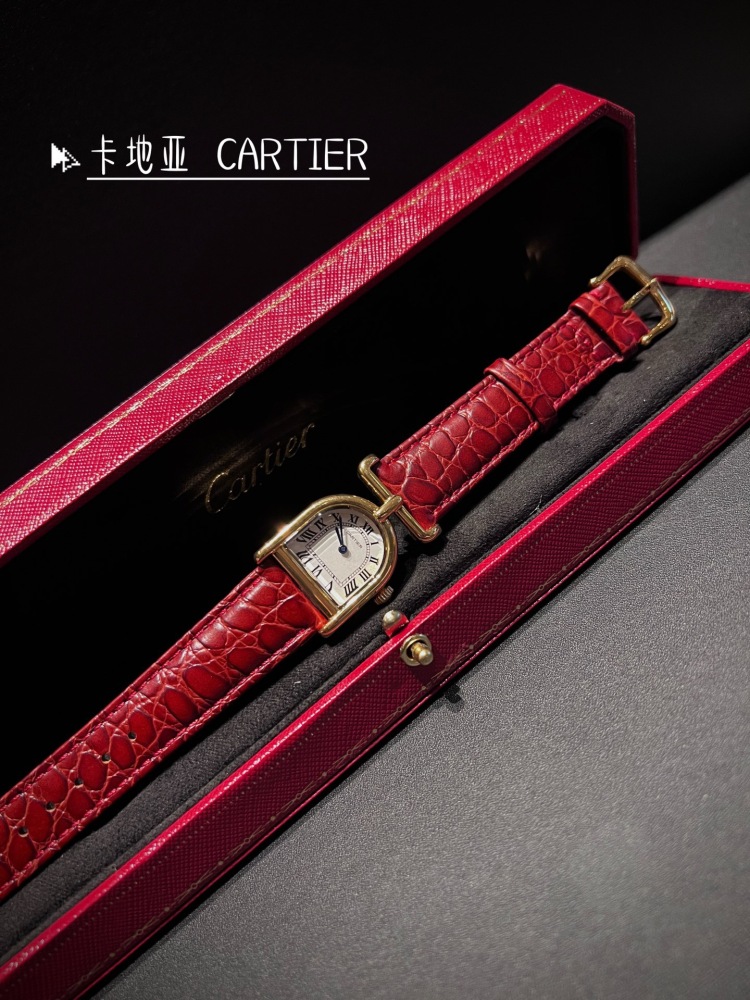 Women's  Quartz Watch Chronograph 904L Stainless Steel 23 mm- CT 156