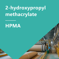 HPMA 2-hydroxypropyl methacrylate