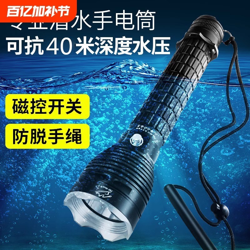 E8001 Submersible Flashlight