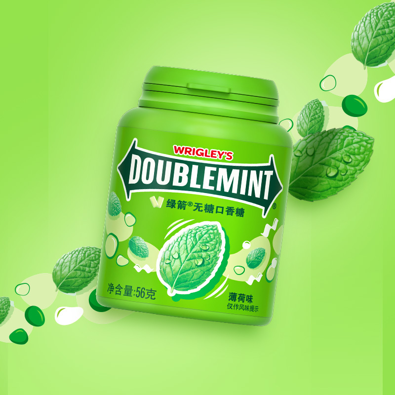 G0017 Doublemint Sugar-Free Chewing Gum, 40 Pieces