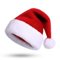 PT009 Christmas Hat