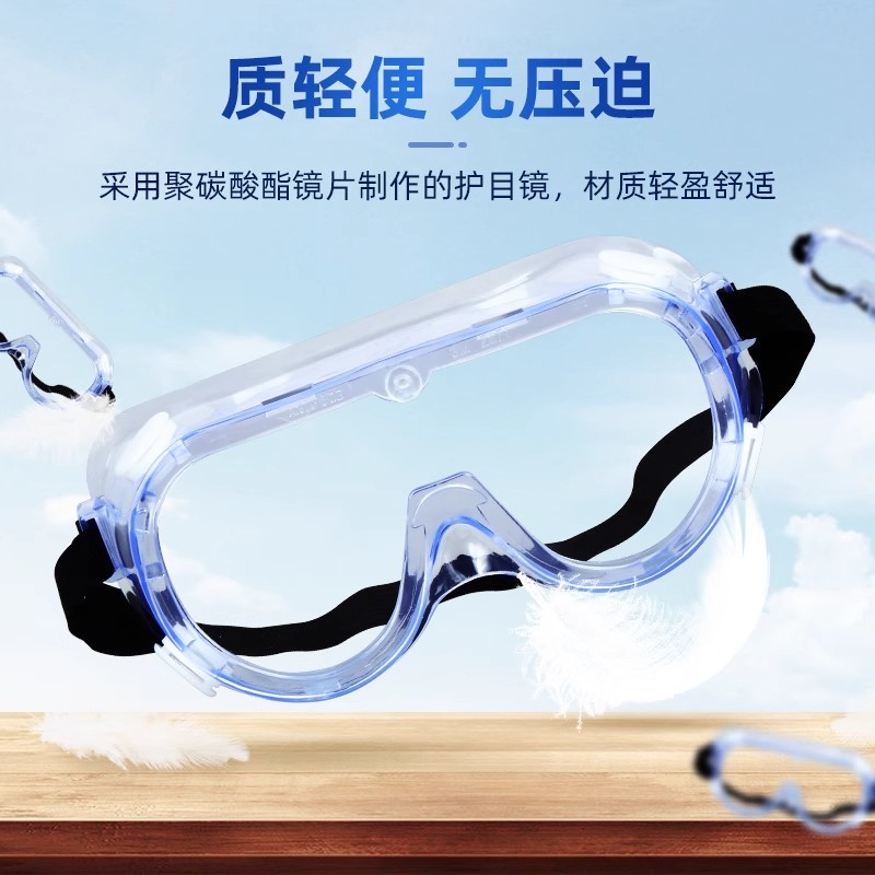 P6004 3M Safety Goggles