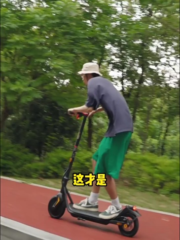 S3004 Adult Foldable Electric Scooter