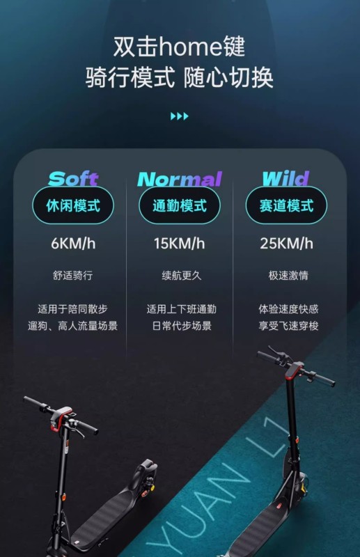S3004 Adult Foldable Electric Scooter