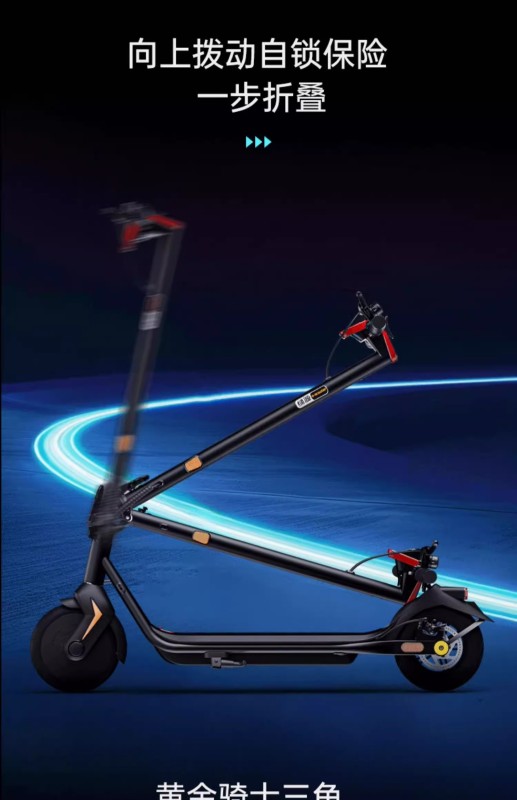 S3004 Adult Foldable Electric Scooter