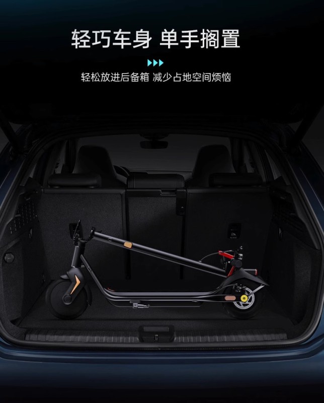 S3004 Adult Foldable Electric Scooter