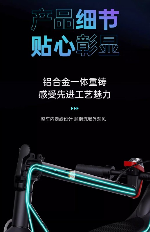S3004 Adult Foldable Electric Scooter