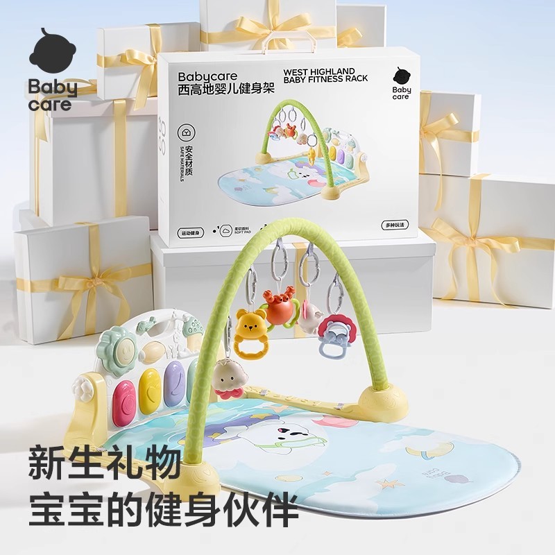 T0023 baby gym toy