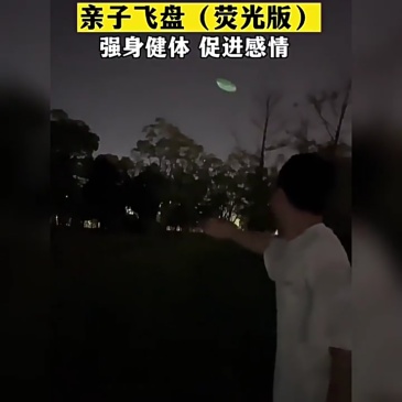 T0050 Soft Frisbee