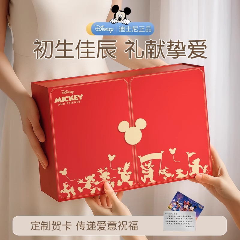 T0042Disney Baby Gift Toy Set