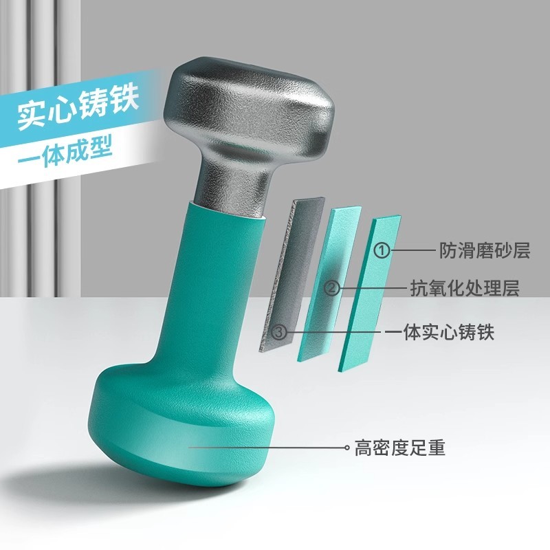 S3010  Cast Iron Dumbbells Fitness Equipment for Men and Women