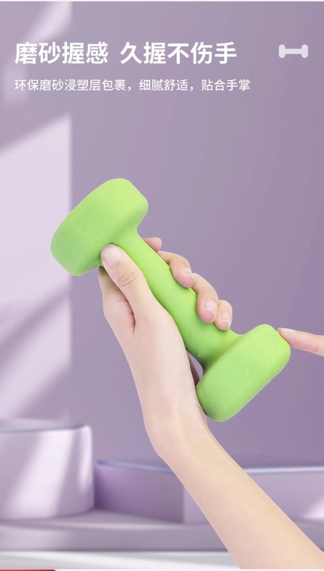 S3010  Cast Iron Dumbbells Fitness Equipment for Men and Women