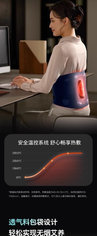 S3013 Philips Waist Massager