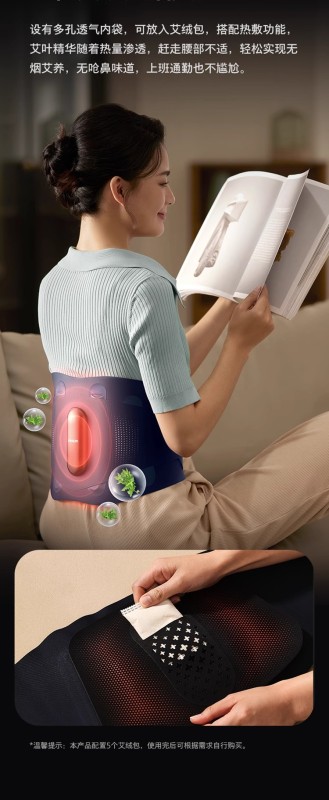 S3013 Philips Waist Massager