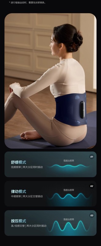 S3013 Philips Waist Massager