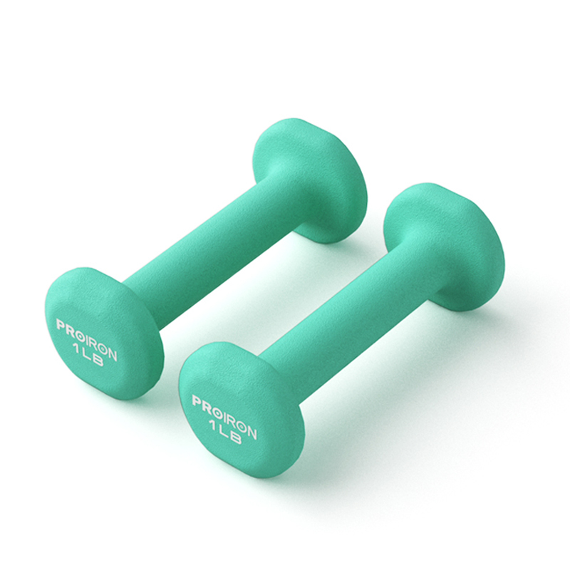 S3010  Cast Iron Dumbbells Fitness Equipment for Men and Women