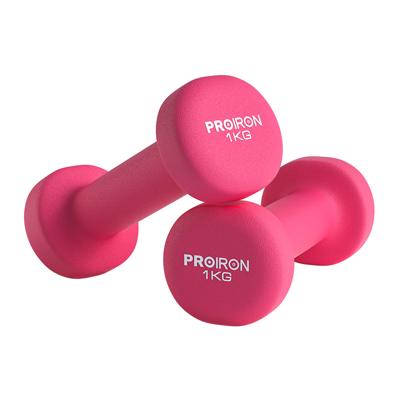 S3010  Cast Iron Dumbbells Fitness Equipment for Men and Women