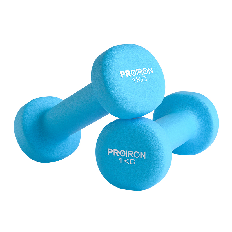 S3010  Cast Iron Dumbbells Fitness Equipment for Men and Women