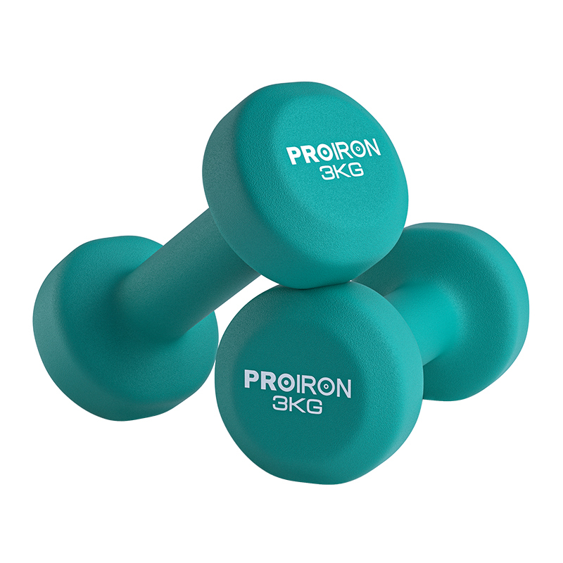 S3010  Cast Iron Dumbbells Fitness Equipment for Men and Women
